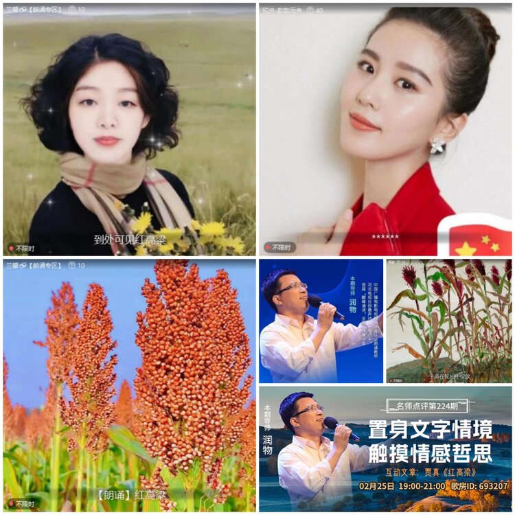 无言🎤V娱热点