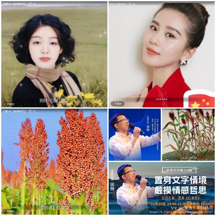 无言🎤V娱热点