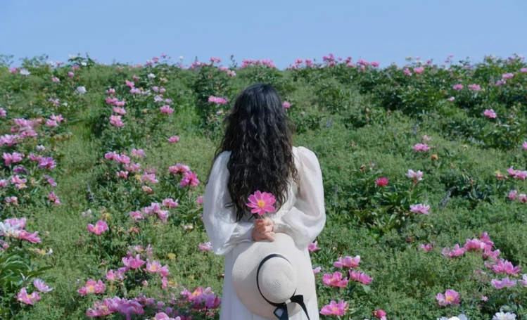 小浅🎤V娱热点