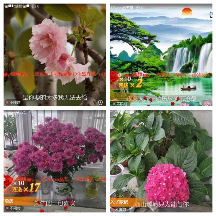 心玫🎤V娱热点