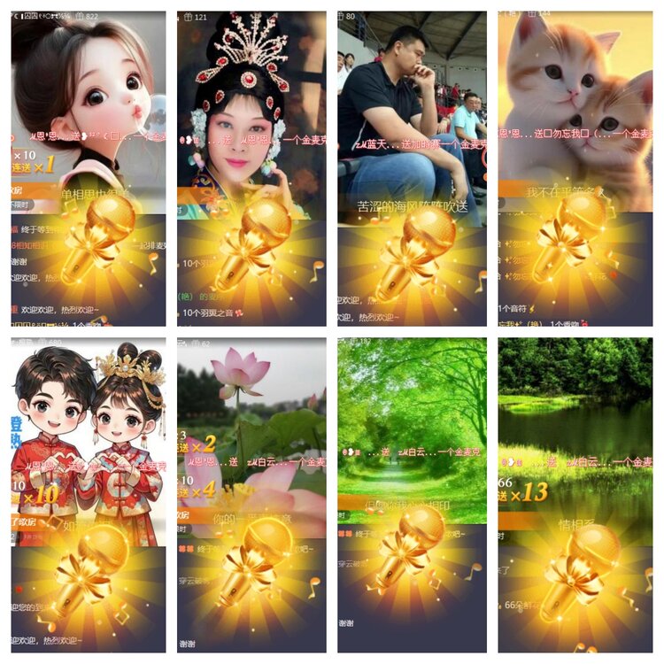 海燕🎤V娱热点