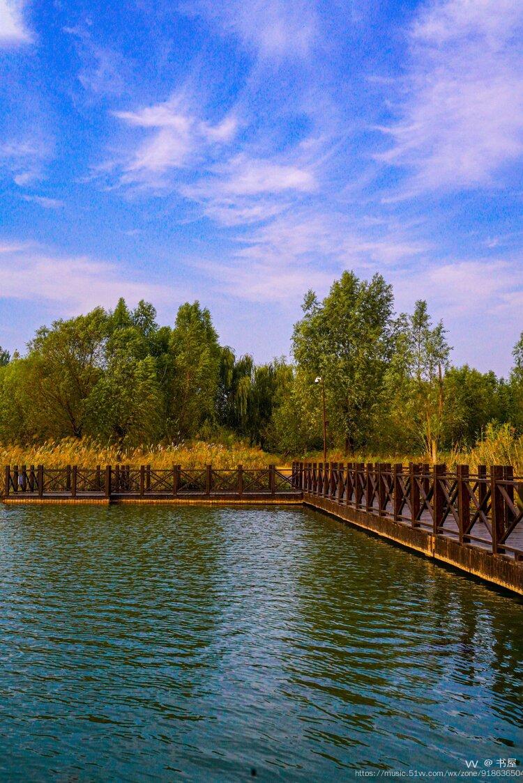 山东济西国家湿地公园位于济南市西部城区,总规划面积334平方公里