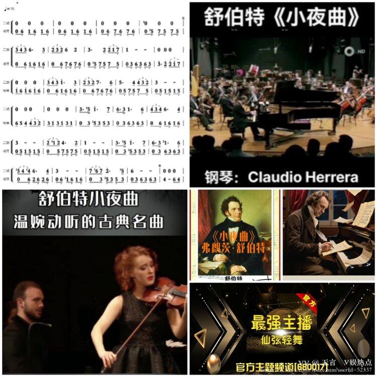 无言🎤V娱热点