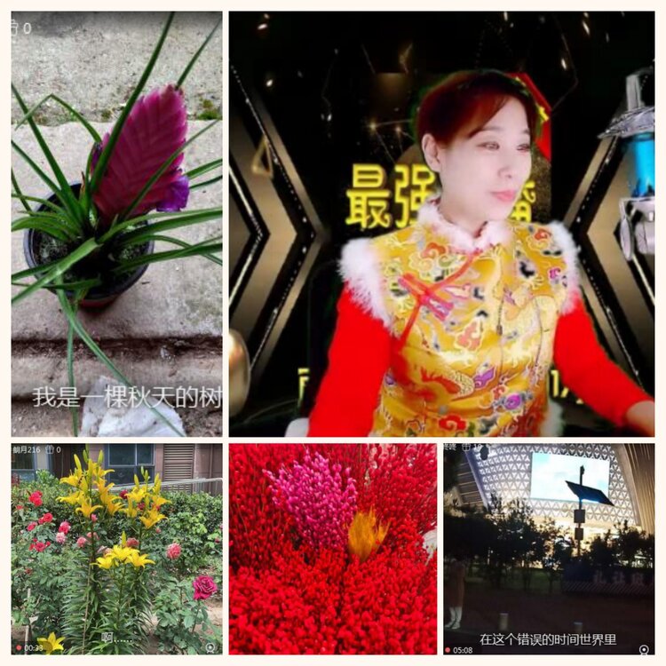 落雪🎤V娱热点