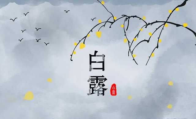 雪儿🎤V娱热点