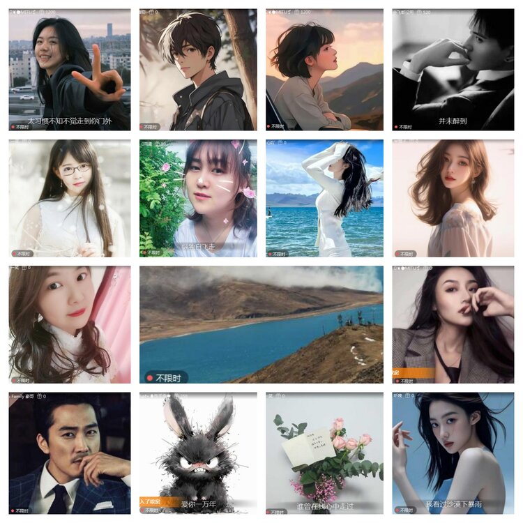 海燕🎤V娱热点