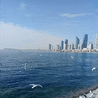 豫粤名家书画诗社第二十期蓝天白云诗词专集