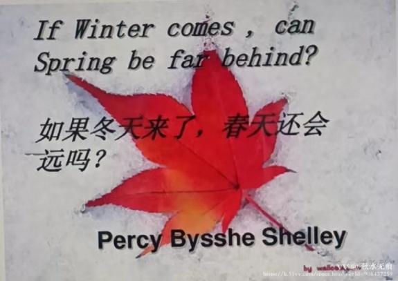 秋水无痕