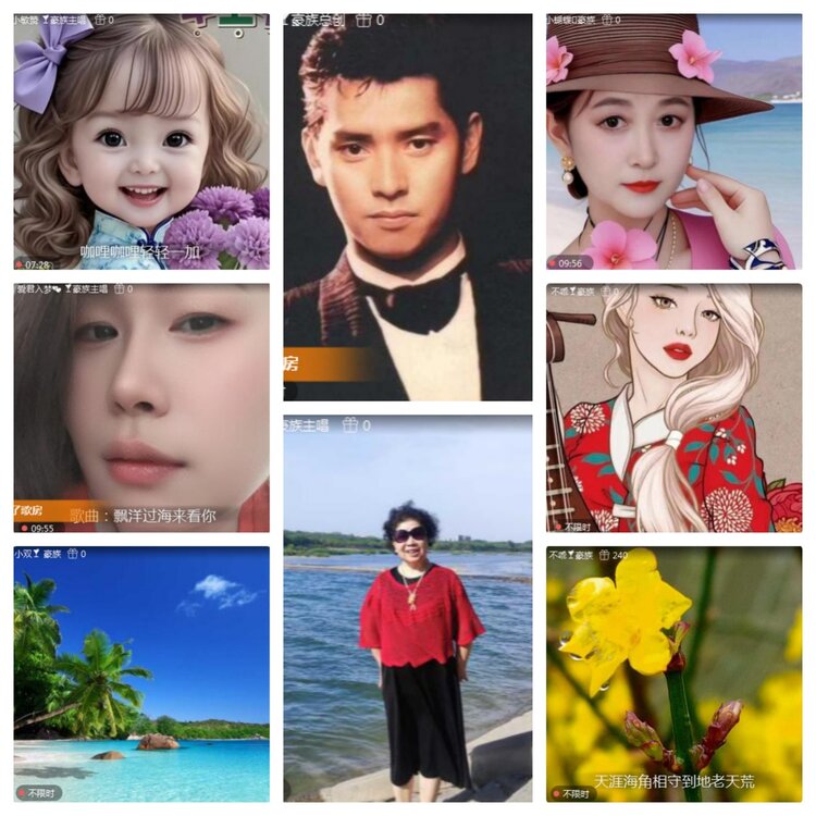 海燕🎤V娱热点