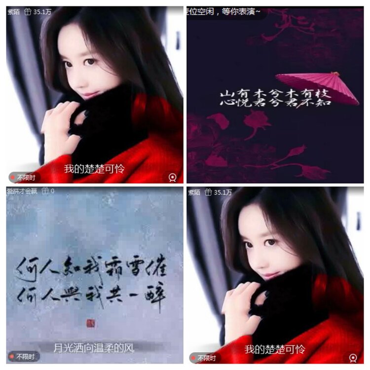 海燕🎤V娱热点