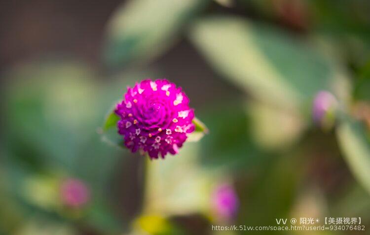 阳光☀️【美摄视界】