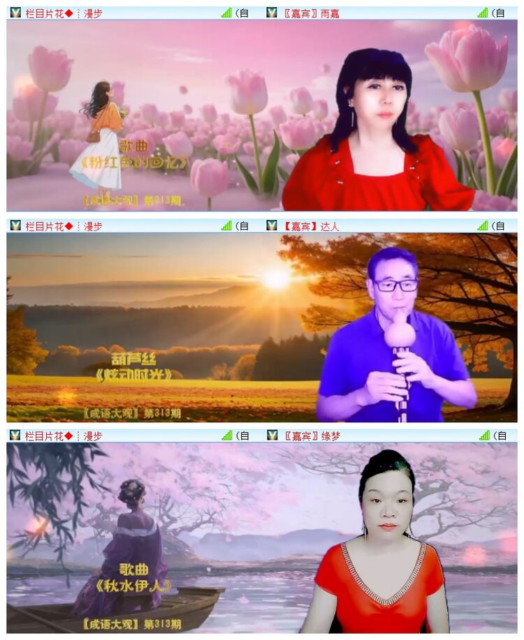 执白🎤V娱热点
