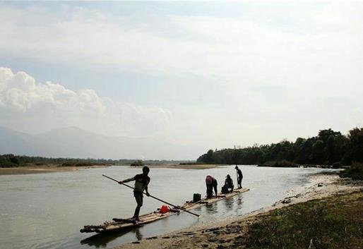幽兰一箭香(赵放岚)