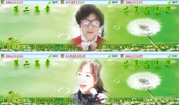 橘猫🎤V娱热点