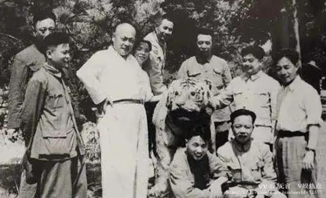 无言🎤V娱热点