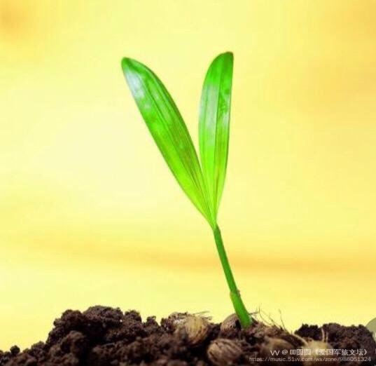 我赞美小草,因为它坚韧不拔的精神,代表着生命的伟大;代表着顽强不屈