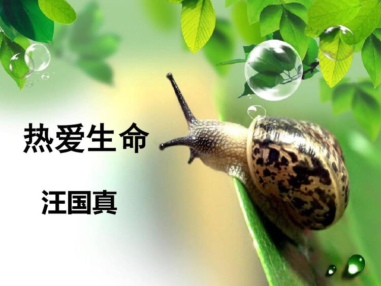 🍀温暖如初🍀