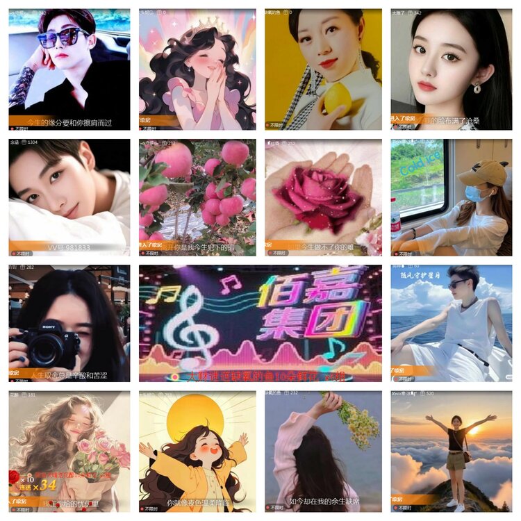 海燕🎤V娱热点