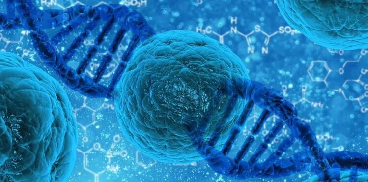 美国wnmn科学讲解nmn抗衰逆龄激活长寿蛋白的真实效果nmn是什么