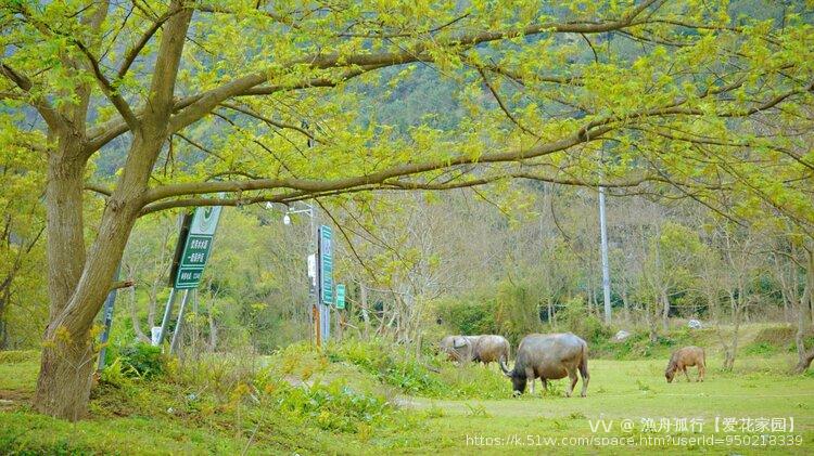 漁舟孤行【爱花家园】