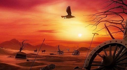 熊猫🐻 不是猫