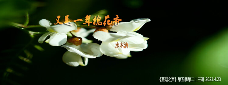 高山流水