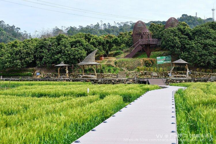 广州劳工【情暖天涯】