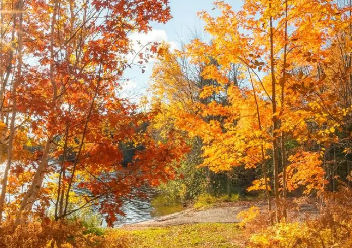 雪儿🎤V娱热点