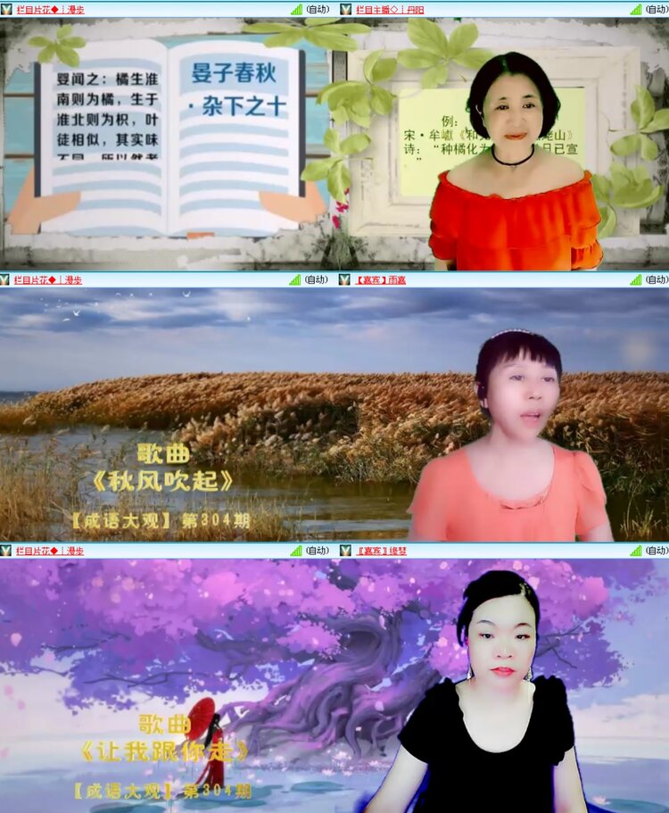 无言🎤V娱热点