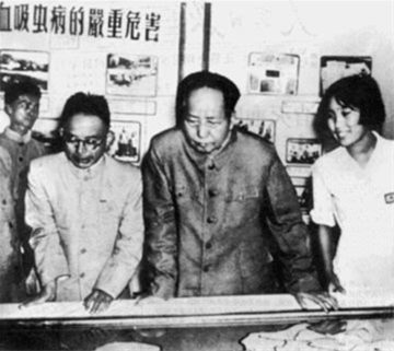 ┭渔樵┮