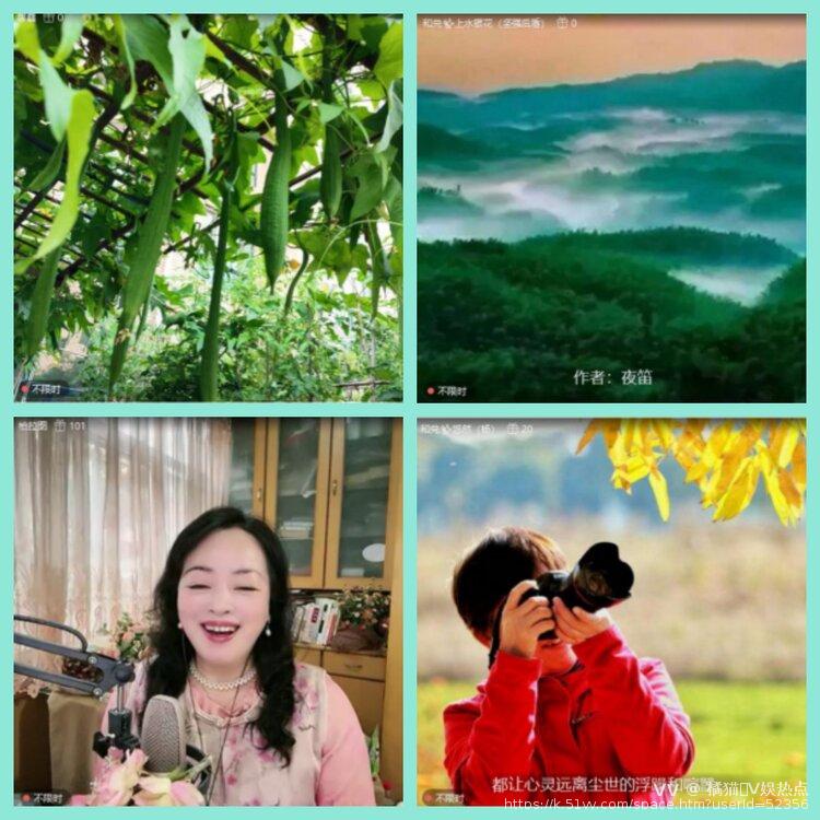 橘猫🎤V娱热点