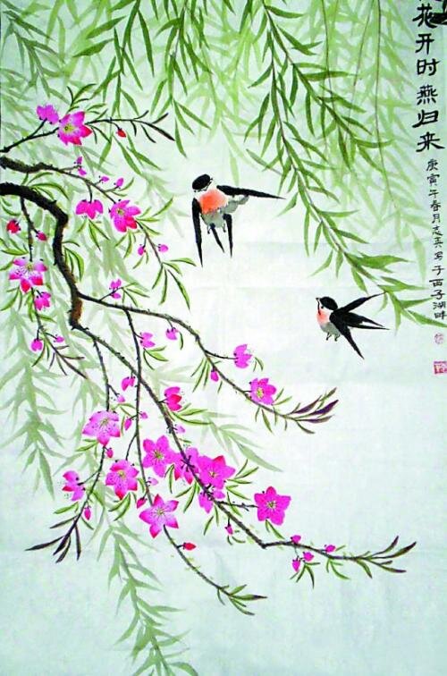 春燕作者夕阳红