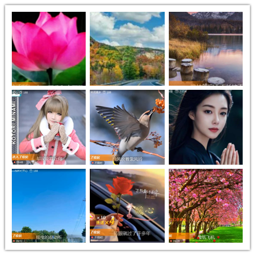 淡然🎤V娱热点