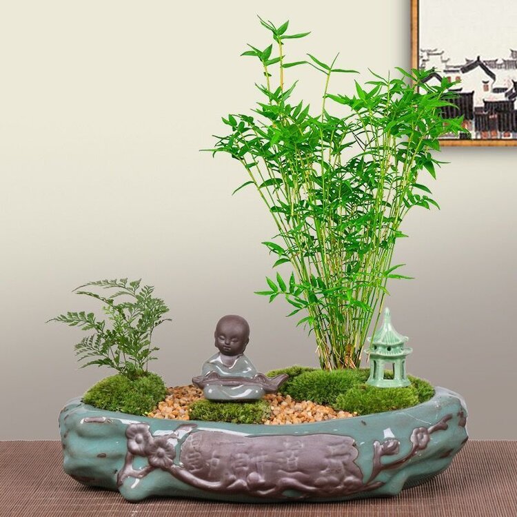 雪儿🎤V娱热点