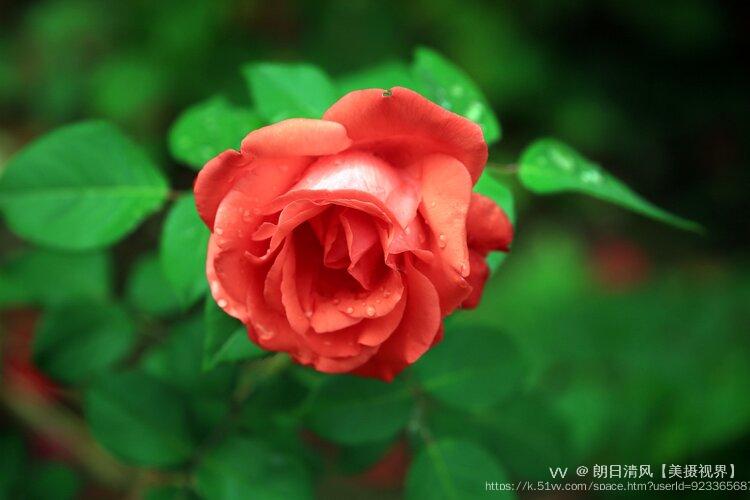 朗日清风【美摄视界】