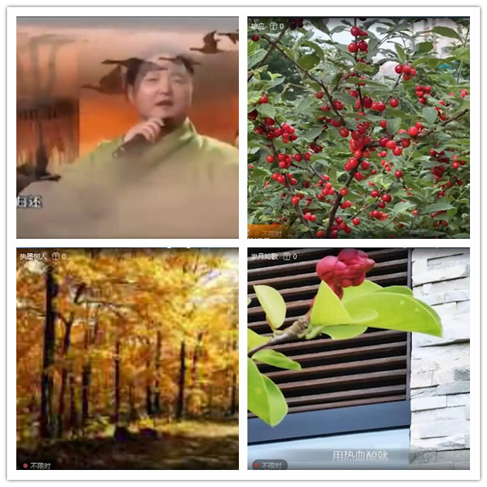 九小九324🎤V娱热点