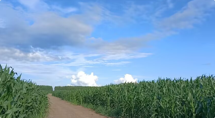 海燕🎤V娱热点