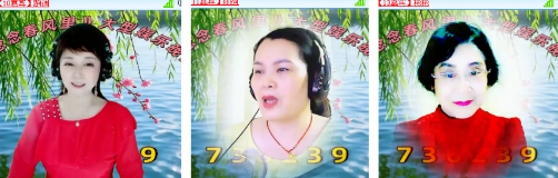 海燕🎤V娱热点