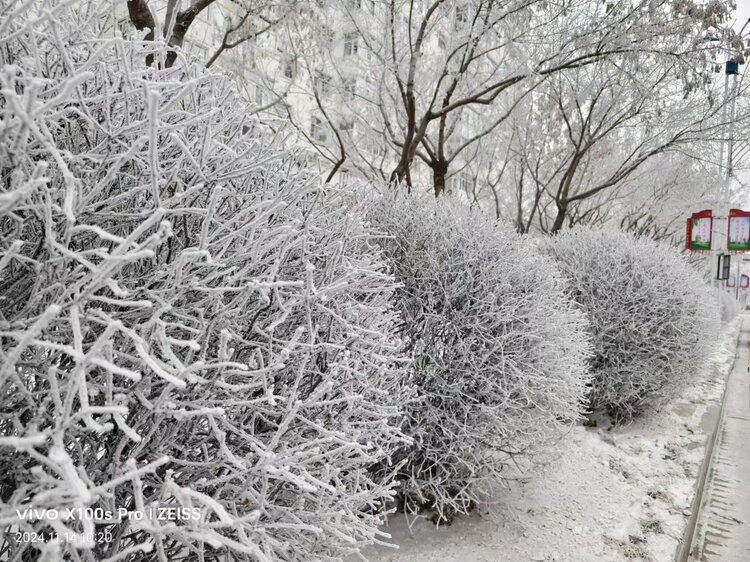 雪儿🎤V娱热点