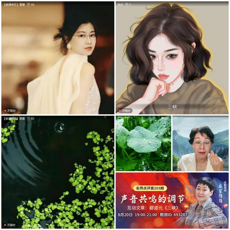 无言🎤V娱热点
