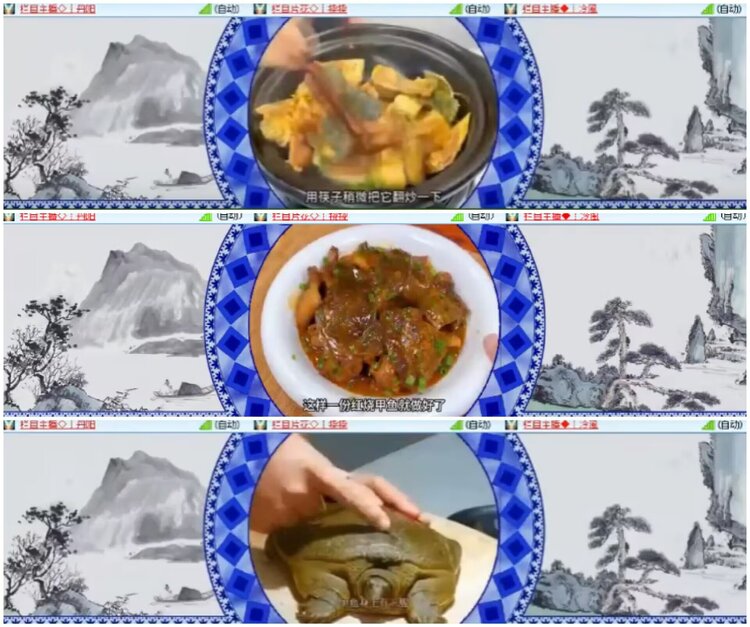 淡然🎤V娱热点