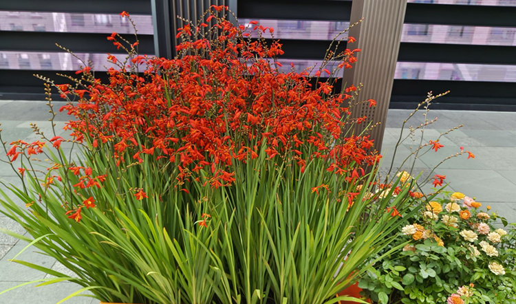 雪儿🎤V娱热点