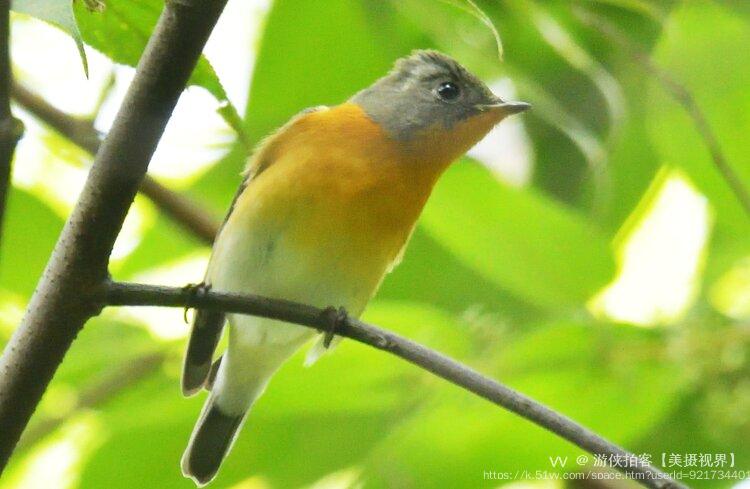 游侠拍客【美摄视界】