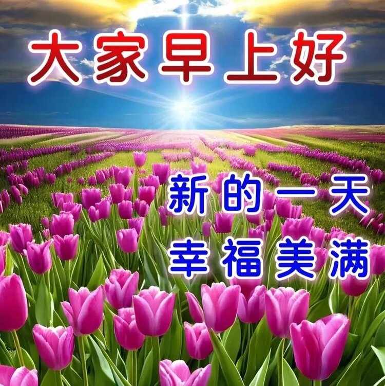 沈阳。。方长华