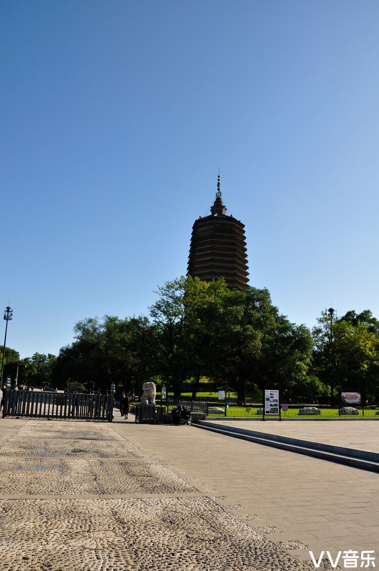 芷语💃艾米团队