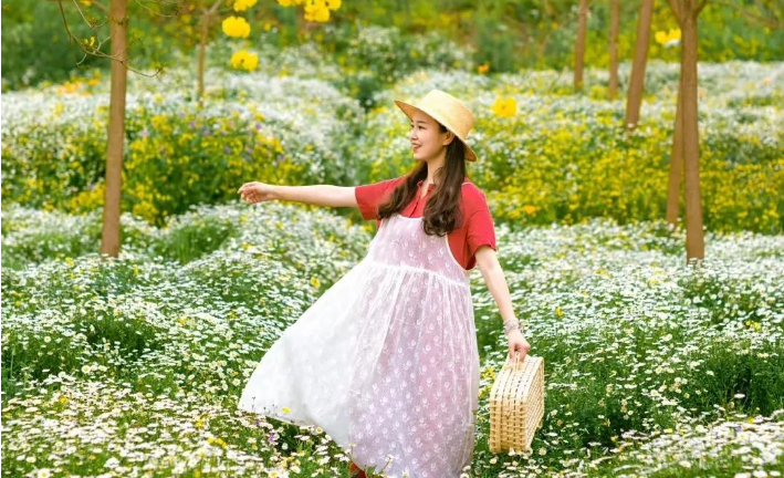 小浅🎤V娱热点