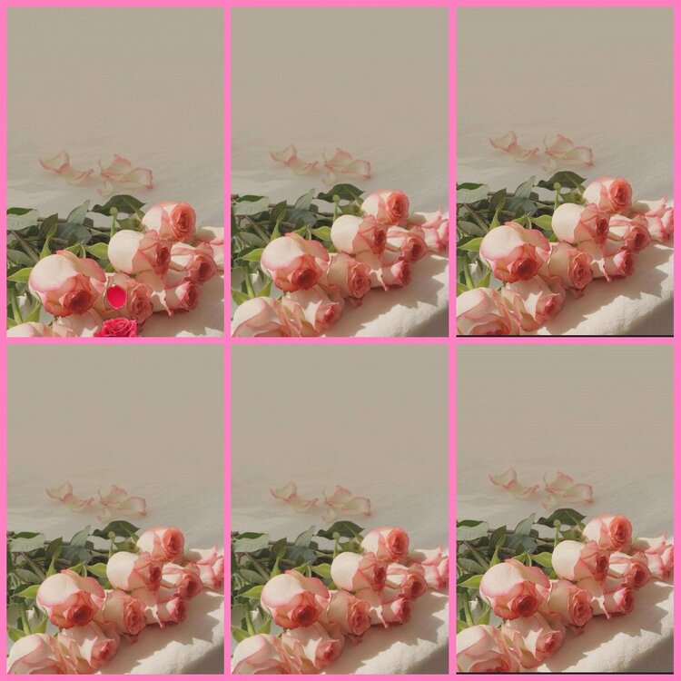 惜缘🎤V娱热点