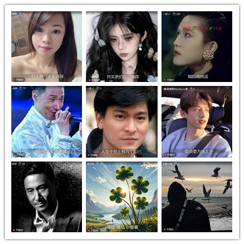 南风🎤V娱热点