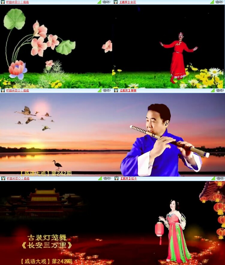 思点🎤V娱热点