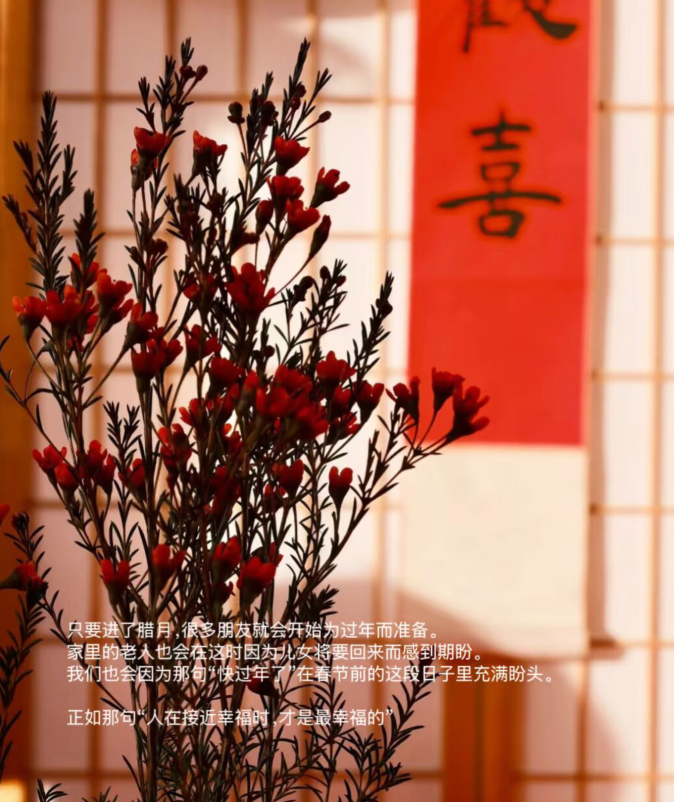 雪儿🎤V娱热点